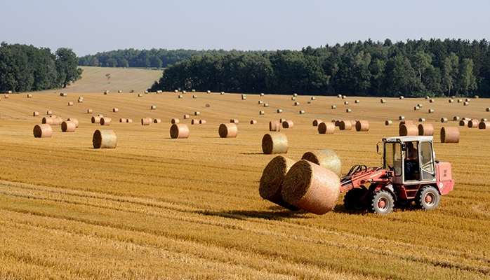 Rappel des conditions de résiliation du bail rural : le cas des dégradations