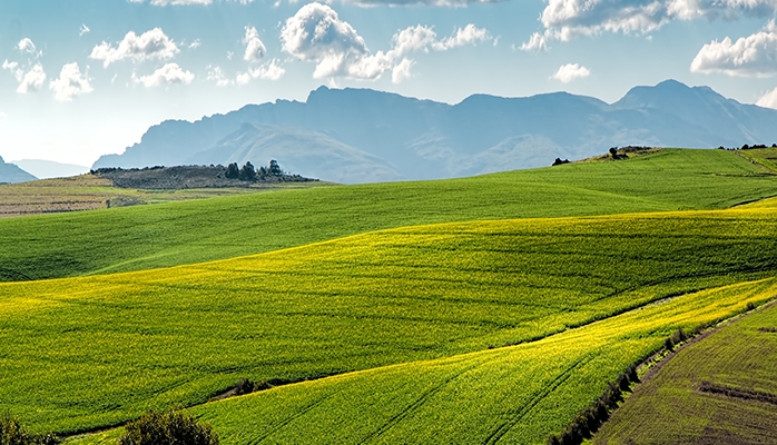 Vente des terres agricoles situées en extra muros: nouvelles législations 